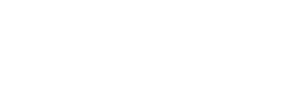 logo qualyng:w